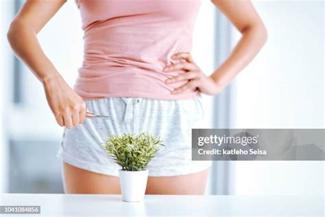 women with hairy pussies|256 Pubic Hair Photos Stock Photos & High.